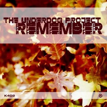 Obálka uvítací melodie Remember (Instrumental Mix)