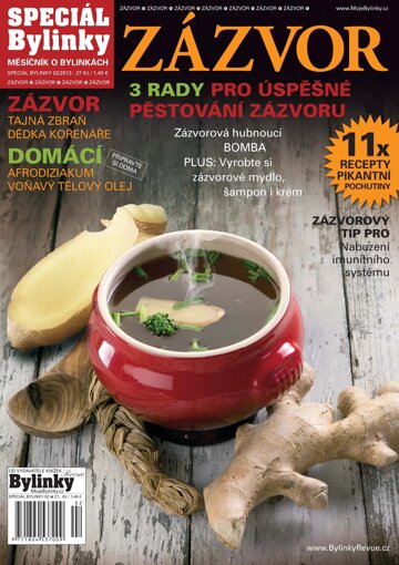 Obálka e-magazínu 2/2013 - Zázvor
