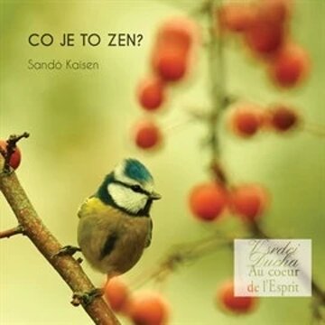 Obálka audioknihy Co je to Zen?