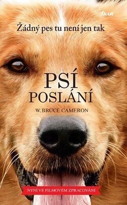 📖 Od Matta Haiga po Colleen Hooverovou: vyberte si e-knihy se slevou až 50 %