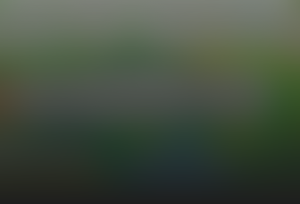 Pozadí stránky