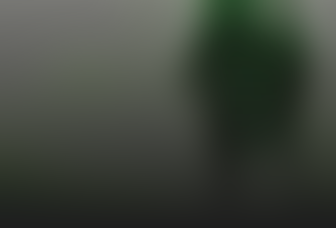Pozadí stránky