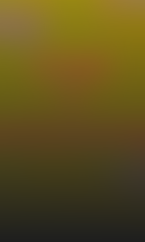 Pozadí stránky