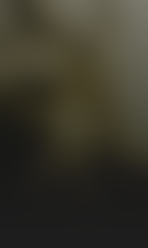 Pozadí stránky