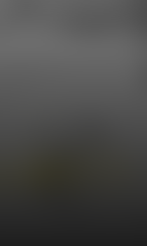 Pozadí stránky