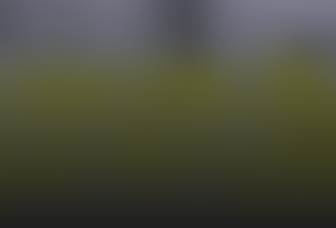 Pozadí stránky
