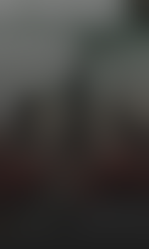 Pozadí stránky