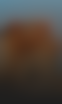Pozadí stránky