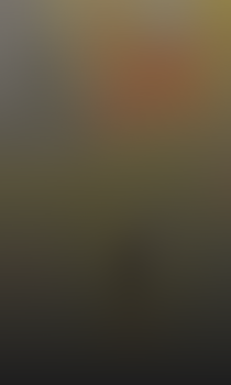 Pozadí stránky