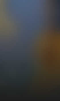 Pozadí stránky