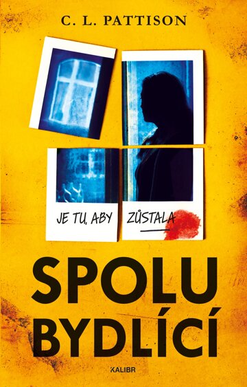 Obálka knihy Spolubydlící