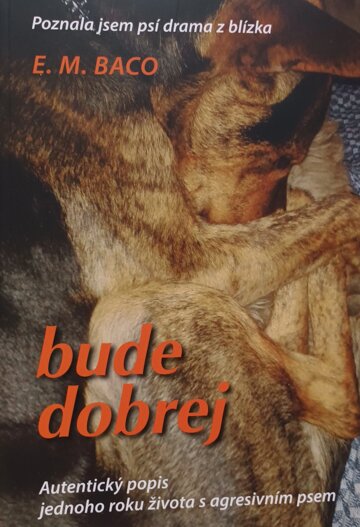 Obálka knihy Bude dobrej