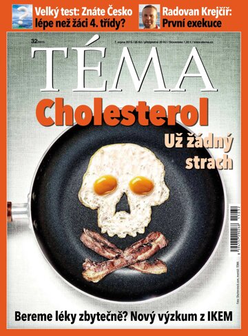 Obálka e-magazínu TÉMA 7.8.2015
