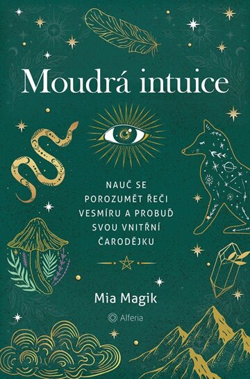 Obálka knihy Moudrá intuice