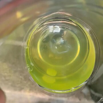 Obálka uvítací melodie BLOOD ON THE LEAVES