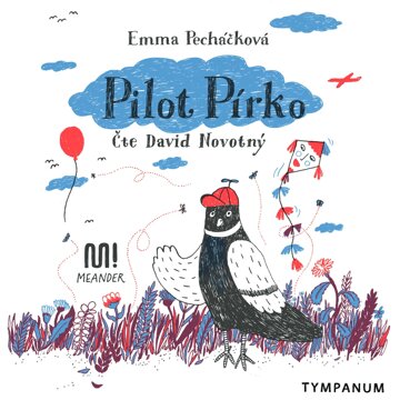 Obálka audioknihy Pilot Pírko