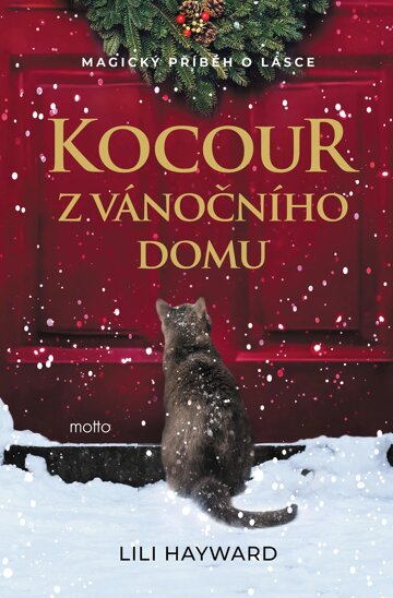 Obálka knihy Kocour z vánočního domu