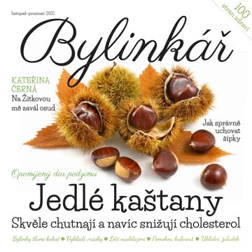 Obálka e-magazínu Bylinkář 11-12/2021