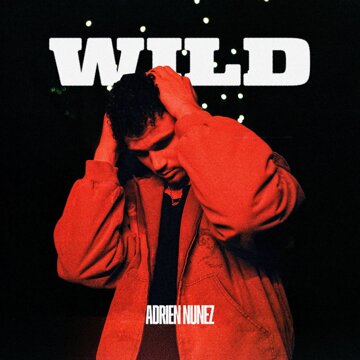 Obálka uvítací melodie WILD