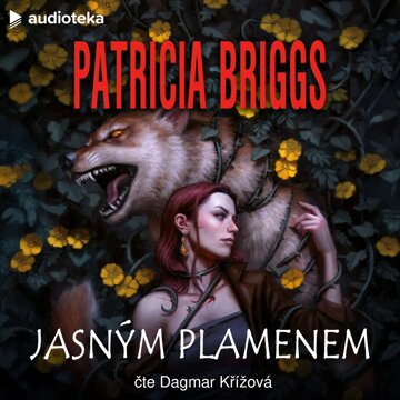 Obálka audioknihy Jasným plamenem