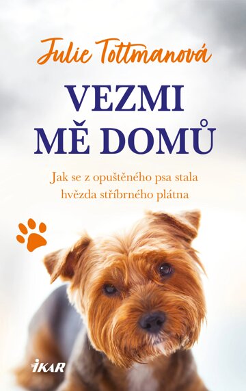Obálka knihy Vezmi mě domů