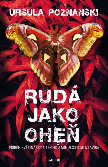 Obálka knihy Vanitas 3: Rudá jako oheň