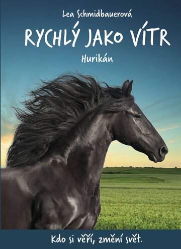 Obálka knihy Rychlý jako vítr: Hurikán