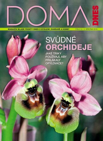 Obálka e-magazínu Doma DNES 2.3.2016