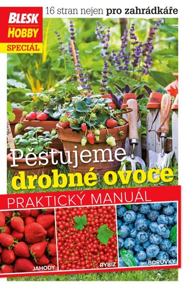 Obálka e-magazínu Příloha Blesk Hobby 4/2023