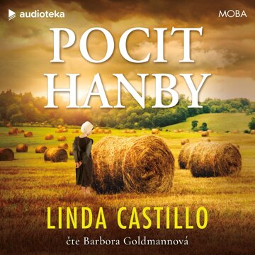Obálka audioknihy Pocit hanby