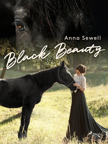 Obálka knihy Black Beauty