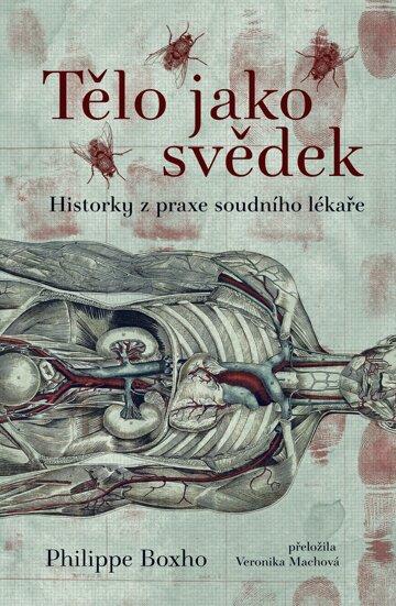Obálka knihy Tělo jako svědek