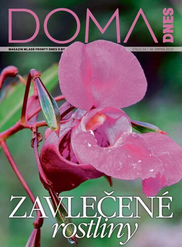 Obálka e-magazínu Doma DNES 30.8.2023