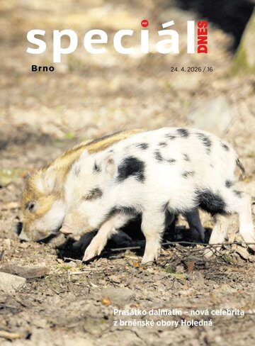 Obálka e-magazínu Magazín DNES SPECIÁL Brno a Jižní Morava - 24.4.2026