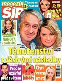 Obálka e-magazínu Magazín Šíp 34/2013
