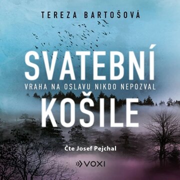 Obálka audioknihy Svatební košile