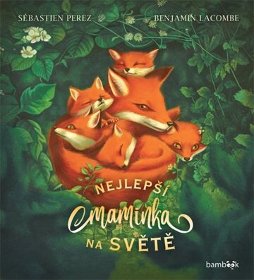 Obálka knihy Nejlepší maminka na světě