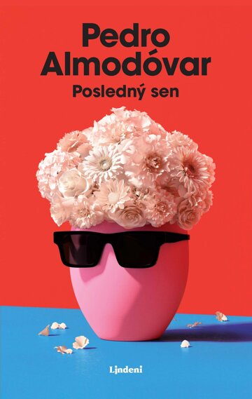 Obálka knihy Posledný sen