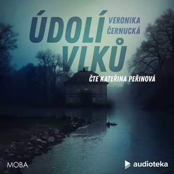 Obálka audioknihy Údolí vlků