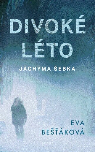 Obálka knihy Divoké léto Jáchyma Šebka