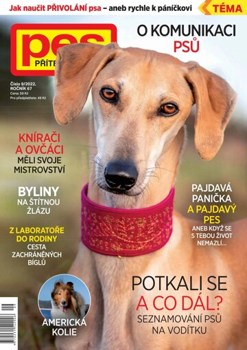 Obálka e-magazínu Pes přítel člověka 9/2022