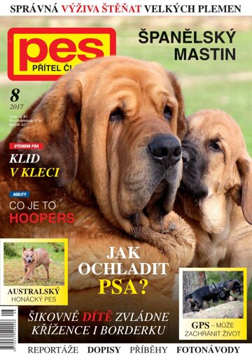 Obálka e-magazínu Pes přítel člověka 8/2017