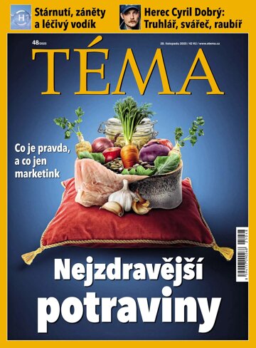 Obálka e-magazínu TÉMA 28.11.2025