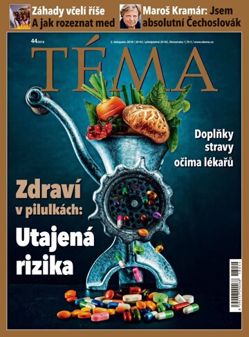 Obálka e-magazínu TÉMA 2.11.2018