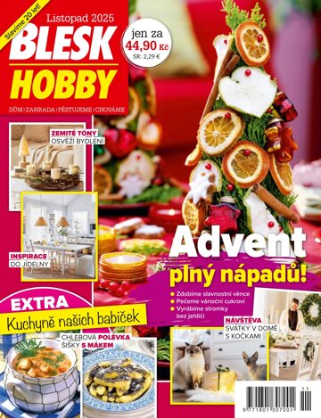 Obálka e-magazínu Blesk Hobby 11/2025