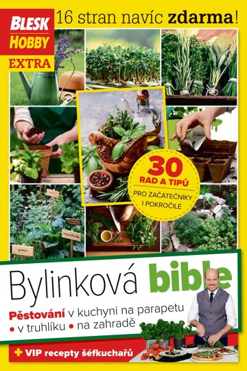 Obálka e-magazínu Příloha Blesk Hobby 2/2018