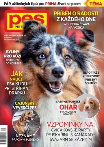 Obálka e-magazínu Pes přítel člověka 11/2021