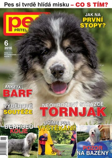 Obálka e-magazínu Pes přítel člověka 6/2016