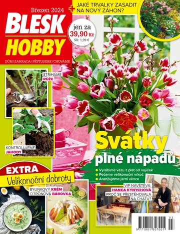 Obálka e-magazínu Blesk Hobby 3/2024