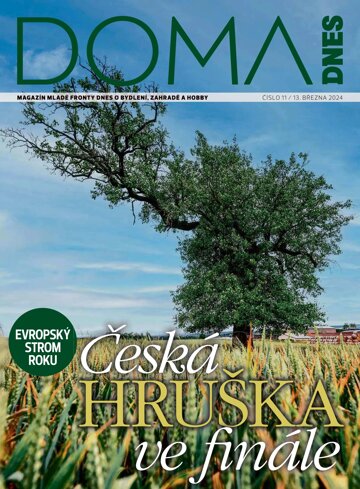 Obálka e-magazínu Doma DNES 13.3.2024